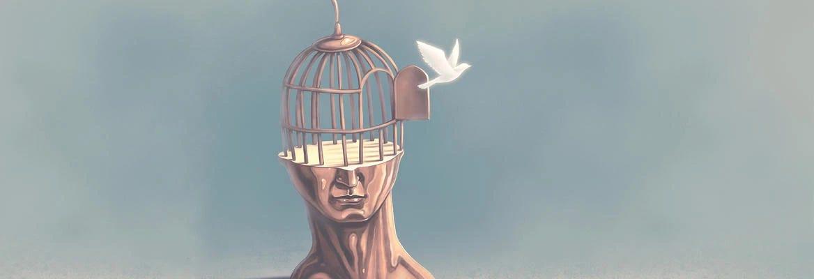 Challenging Notions of Free Will